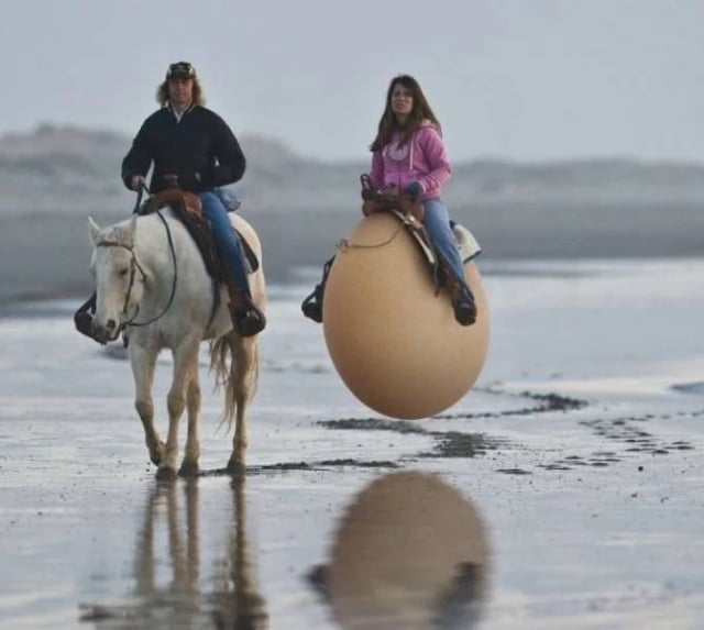 мужчина на коне и девушка на яйце