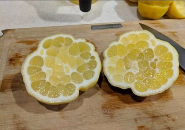 необычный лимон