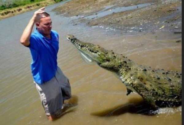 мужчина с крокодилом