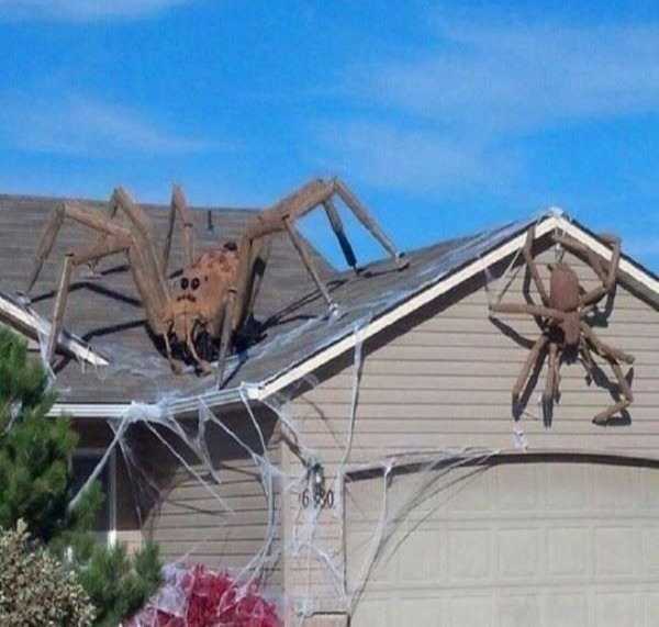 пауки на крыше дома