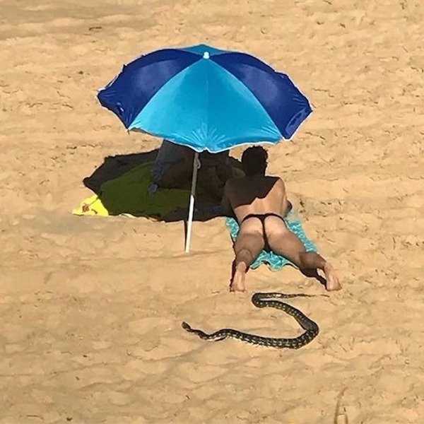 парень на пляже и змея